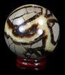 Polished Septarian Sphere #36064-1
